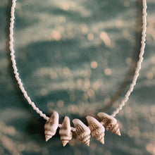 Load image into Gallery viewer, cream luster seed bead and mini conch shell necklace
